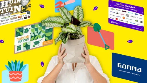 Tuincadeau inspiratie: 15 originele ideeën voor tuinliefhebbers