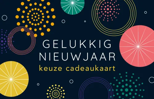 Wat geef je je dochter voor het nieuwe jaar? 23 foto's Lijst met originele nieuwjaarsgeschenken